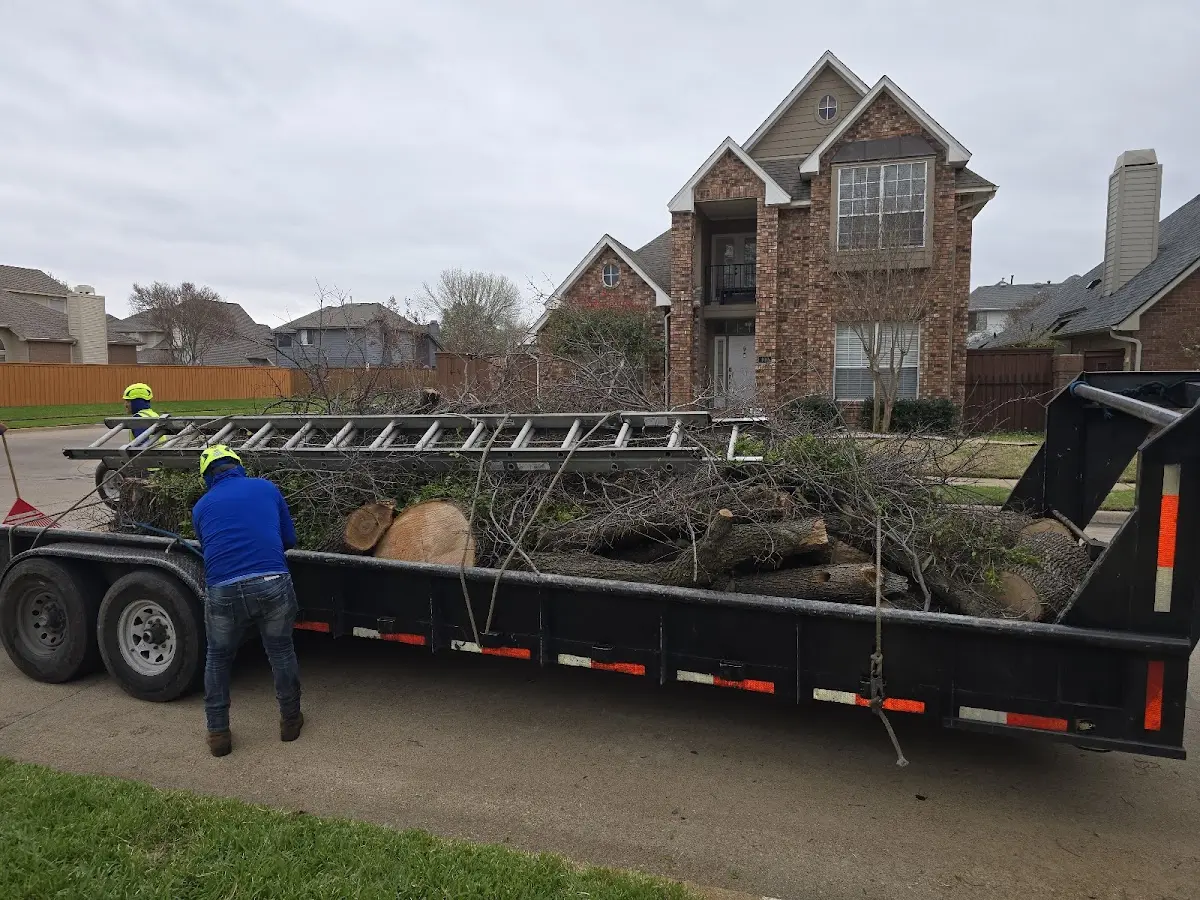 Expert Tree Fertilization with proper safety equipment in Watsontown